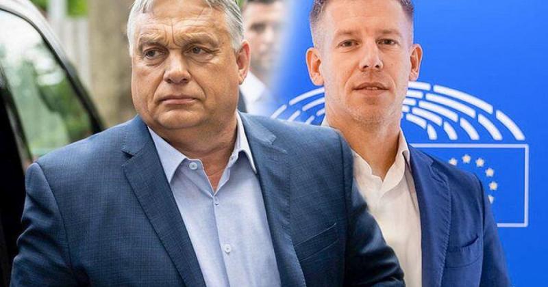 Péter Magyar bombája és a nyugdíjasok utalványai - ezek váltották ki olvasóink felháborodását.