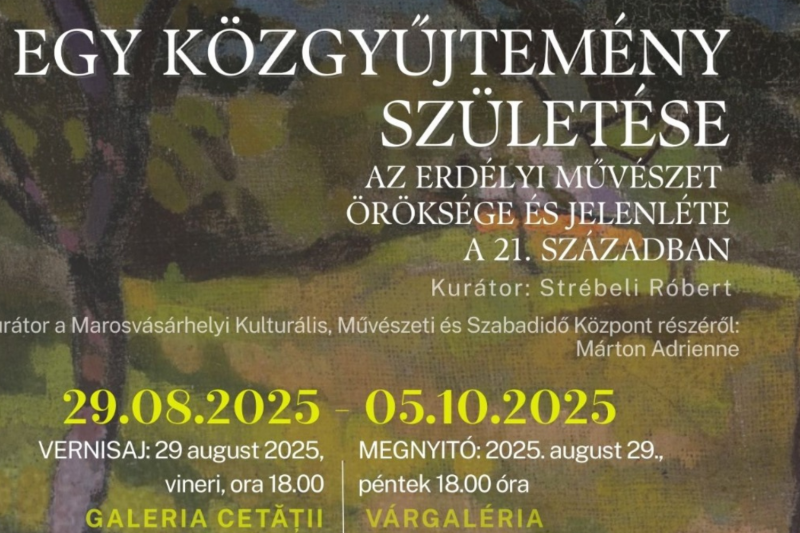 A közgyűjtemény létrejötte: Egy új korszak kezdete

A közgyűjtemény megszületése egy varázslatos pillanat, amikor a tudás, a kultúra és a művészetek összegyűlnek egyetlen helyszínen, hogy gazdagítsák a közösséget. E folyamat során nem csupán tárgyak és mű